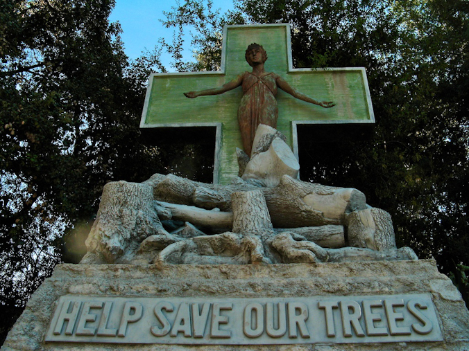 Essay On Conservation Of Forest