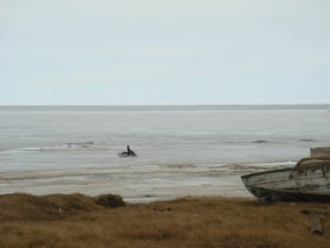 A member of a Wainwright whaling crew drives a snow machine across the sea ice to reach water. Photo courtesy of the author.