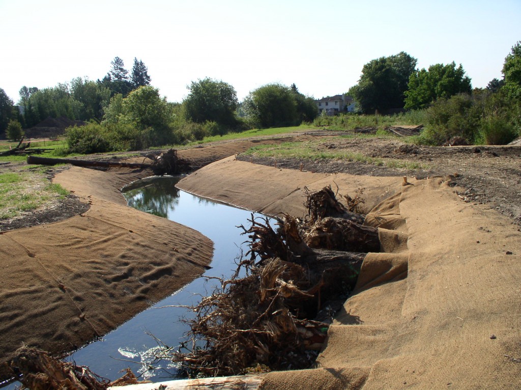 At some sites, like the stream pictured above, restoration efforts included remaindering the channel, to restore its connection to the floodplain. Photo courtesy of the Bonneville Environmental Foundation.