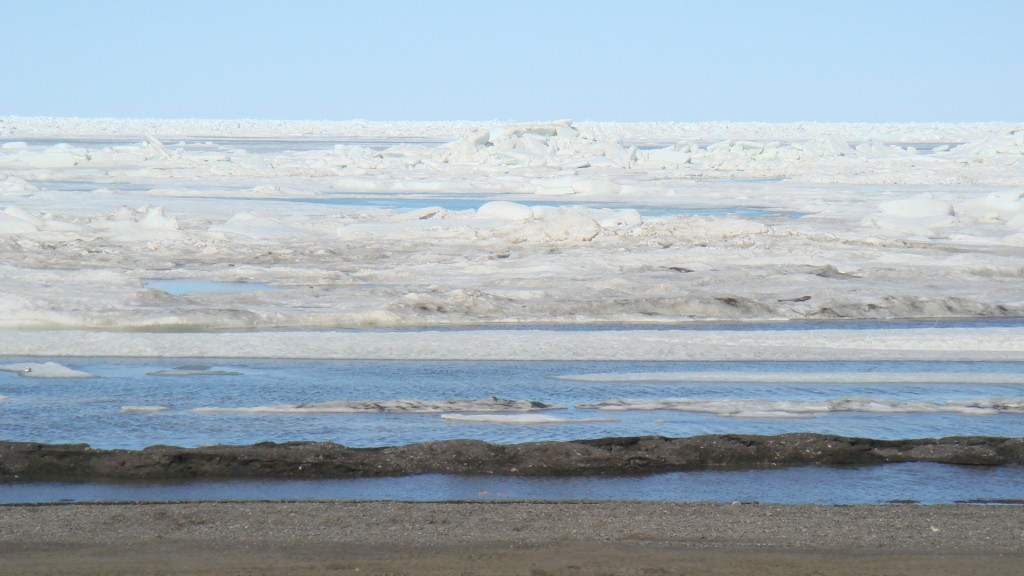 A view of the Chukchi Sea from Barrow, Alaska. Photo courtesy of the author.
