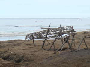 The wooden frame of a whaling boat sits near the coast of Barrow, Alaska. Photo courtesy of the author.