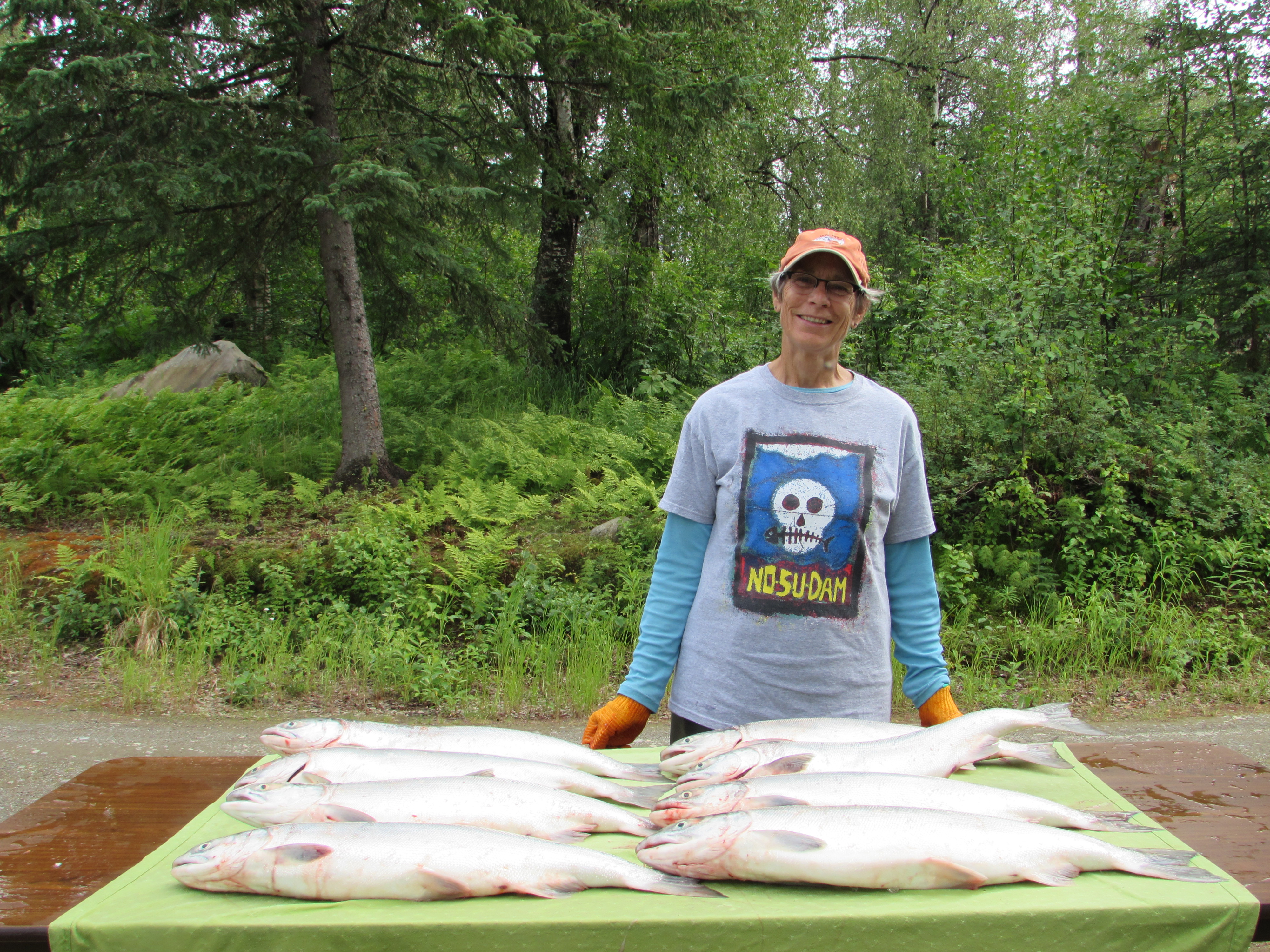 Talkeetna resident Diane Okonek sports a No Su Dam shirt as she gets ready to process sockeye salmon from the Susitna River.