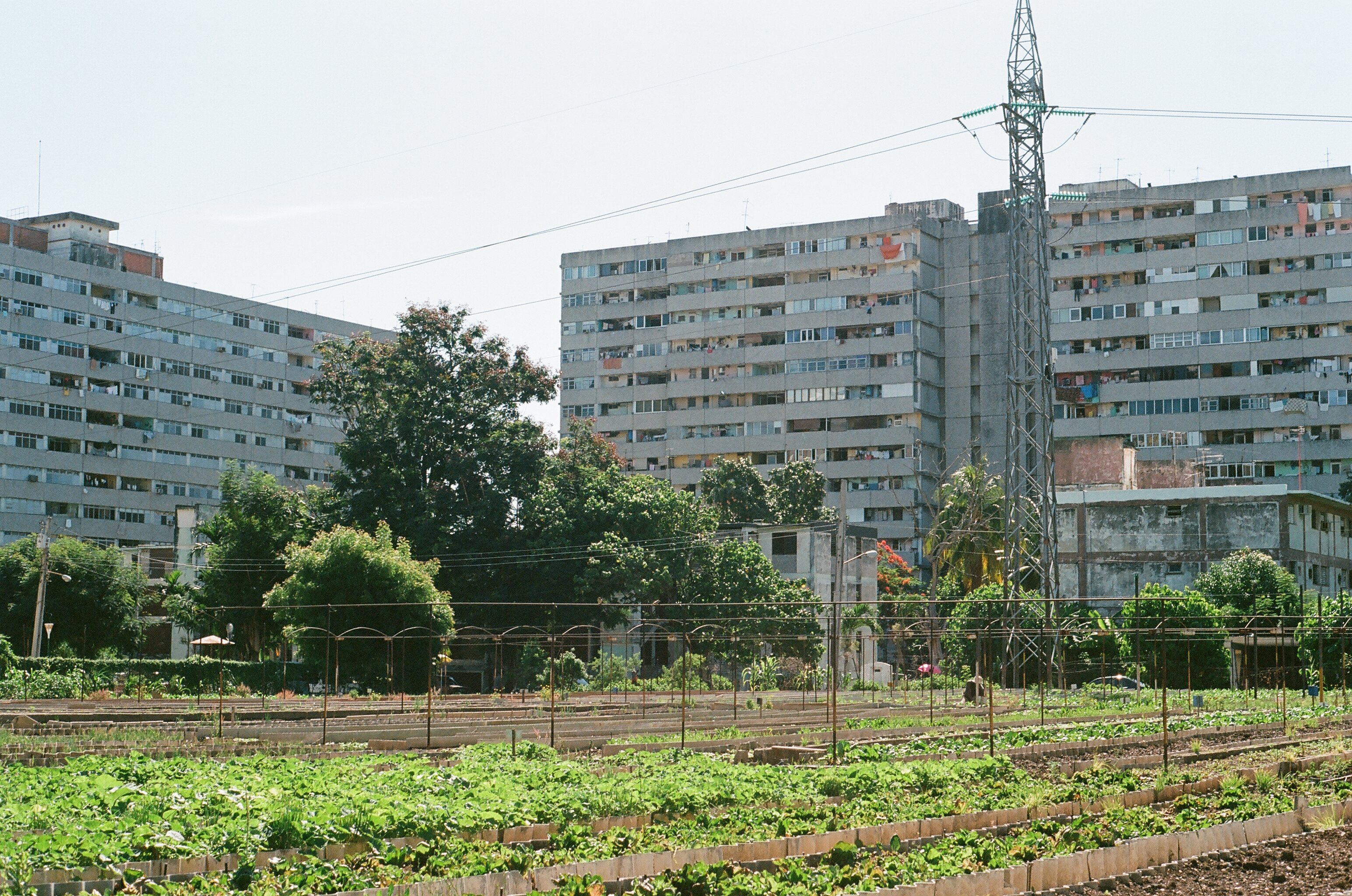 Urban plan Havana Cuba